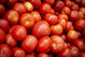 close-up de tomates vermelhos foto