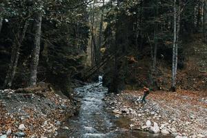 montanha rio alta árvores floresta panorama outono mulher viagem turismo foto