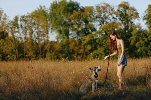 uma mulher tocam e danças com uma rouco procriar cachorro dentro natureza dentro outono em uma Relva campo, Treinamento e Treinamento uma jovem cachorro foto