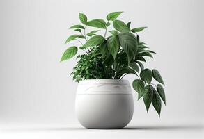 plantas de interior dentro uma Panela em uma branco fundo. 3d Renderização generativo ai foto