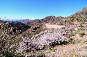 cênico rural panorama foto