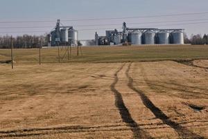 agro silos em agroindustrial complexo e grão secagem e sementes limpeza linha. foto