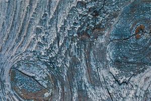 textura do velho madeira com descamação azul pintura foto