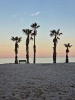 beira-mar panorama Paz e quieto pôr do sol e quatro Palma árvores em a de praia e uma Banco foto