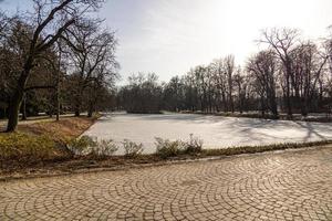 panorama com uma congeladas lago dentro a parque Varsóvia dentro Polônia em uma ensolarado inverno dia foto