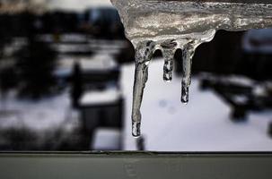 ittle inverno pingentes de gelo com gotejamento água fechar-se foto