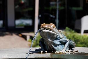 fonte em a mercado quadrado dentro lebork Polônia com sapos fechar-se em uma verão dia foto