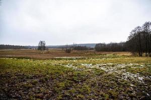 inverno agrícola panorama com neve em uma nublado dia dentro Polônia foto