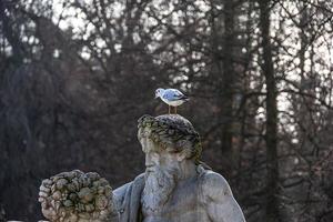 monumento com uma andorinha-do-mar em a cabeça do uma estátua dentro uma histórico parque dentro Varsóvia em uma inverno dia foto