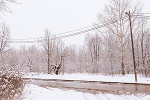 inverno natural panorama com coberto de neve árvores dentro a floresta e uma limitar caminho foto