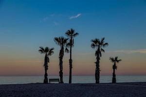 beira-mar panorama Paz e quieto pôr do sol e quatro Palma árvores em a de praia e uma Banco foto