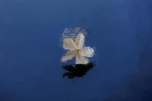 fechar-se lindo pequeno delicado solteiro jasmim flor para fundo foto