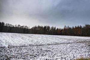 inverno agrícola panorama com neve em uma nublado dia dentro Polônia foto