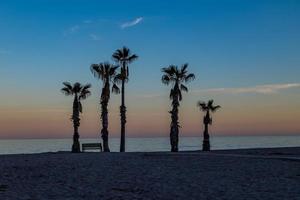 beira-mar panorama Paz e quieto pôr do sol e quatro Palma árvores em a de praia e uma Banco foto