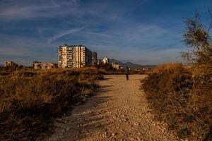 panorama areia estrada em a Beira Mar entre florescendo ampla gramíneas às pôr do sol foto