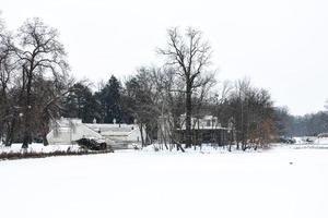 parque dentro Varsóvia Polônia em uma Nevado inverno dia foto