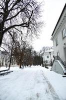 parque dentro Varsóvia Polônia em uma Nevado inverno dia foto