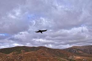 esvaziar misterioso montanhoso panorama a partir de a Centro do a canário ilha espanhol fuerteventura com uma nublado céu foto