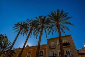 moradias em banda com Palma árvores dentro a cidade do alicante Espanha contra a céu foto