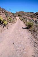 cênico rural panorama foto