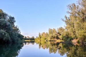 reflexão do árvores em a água foto