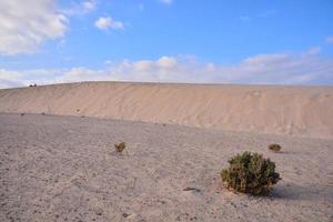 paisagem cênica do deserto foto