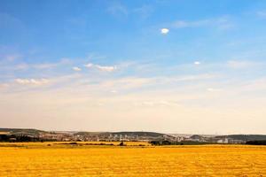 cênico rural panorama foto