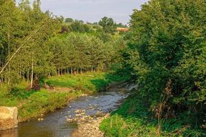 panorama com uma montanha corrente fluindo entre árvores em uma verão dia dentro Polônia foto