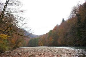 rio montanhas outono floresta panorama fresco ar natureza foto