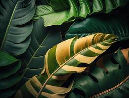 abstrato verde tropical banana e monstera folhas fundo criada com generativo ai tecnologia foto