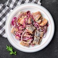 arenque filé peixe frutos do mar refeição Comida lanche em a mesa cópia de espaço Comida fundo rústico topo Visão foto