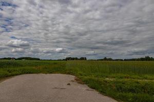 panorama em uma verão dia com uma país estrada com elétrico postes e uma campo foto