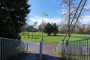 baixo ângulo Visão do árvore e galhos às local parque foto