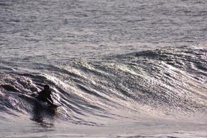 enormes ondas do mar foto