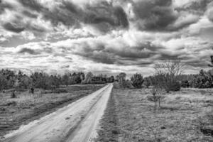 Primavera panorama com uma sujeira estrada, Campos, árvores e céu com nuvens dentro Polônia foto