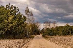 Primavera panorama com uma sujeira estrada, Campos, árvores e céu com nuvens dentro Polônia foto