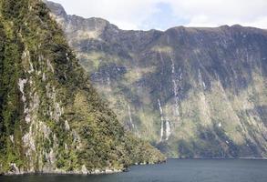 Fiordland nacional parque litoral coberto de floresta foto
