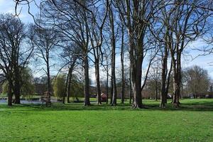 baixo ângulo Visão do árvore e galhos às local parque foto