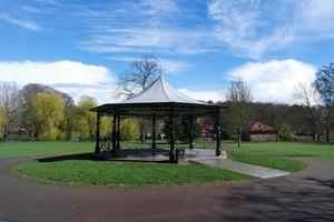 baixo ângulo Visão do árvore e galhos às local parque foto