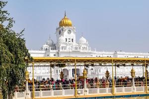 amritsar, Índia - fevereiro 26 2023 - não identificado devotos a partir de vários partes às dourado têmpora - Harmandir sahib dentro amritsar, punjab, Índia, famoso indiano sikh marco, dourado têmpora foto