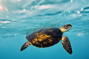 tartaruga é natação dentro embaixo da agua foto