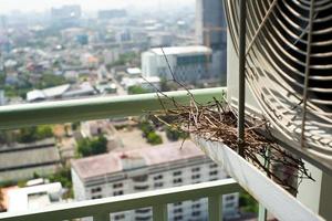 closeup ninho de pássaro na gaiola de aço do ar condicionado no terraço de um condomínio alto com fundo desfocado da cidade foto