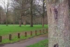 baixo ângulo Visão do árvore e galhos às local parque foto