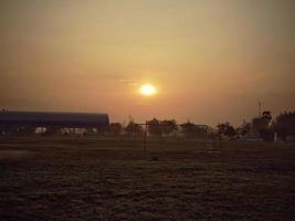 árvore em Prado às pôr do sol com Sol fundo . foto