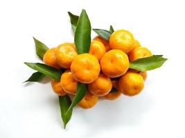 uma grupo do fruta e calamondina folhas isolado em branco fundo. maduro tangerinas foto