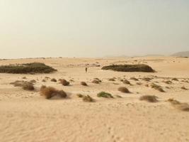 panorama a partir de a espanhol canário ilha fuerteventura com dunas e a oceano foto