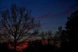 colorida pôr do sol com vermelho céu e árvores e nuvens foto