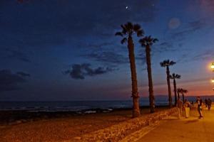 calma noite panorama em a costa com Palma árvores do a oceano dentro tenerife, Espanha foto