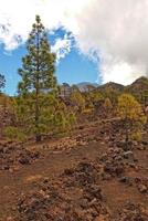 calma montanha panorama por aí teide em a espanhol canário ilha tenerife foto