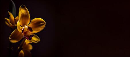 amarelo orquídea flor dentro Preto fundo ai gerado foto